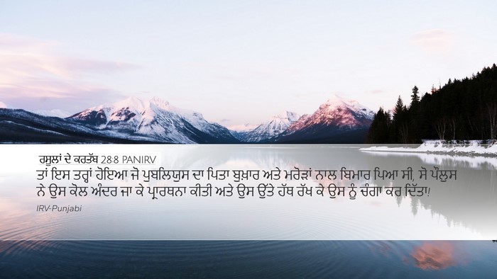 ਰਸੂਲਾਂ ਦੇ ਕਰਤੱਬ 28:8 PANIRV Bible Verse Image