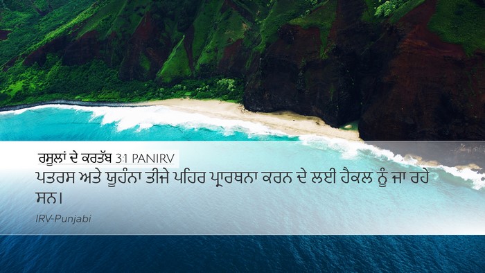 ਰਸੂਲਾਂ ਦੇ ਕਰਤੱਬ 3:1 PANIRV Bible Verse Image