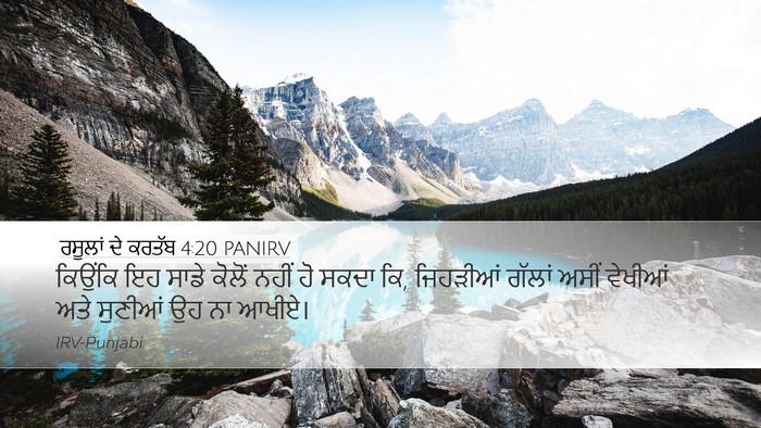 ਰਸੂਲਾਂ ਦੇ ਕਰਤੱਬ 4:20 PANIRV Bible Verse Image