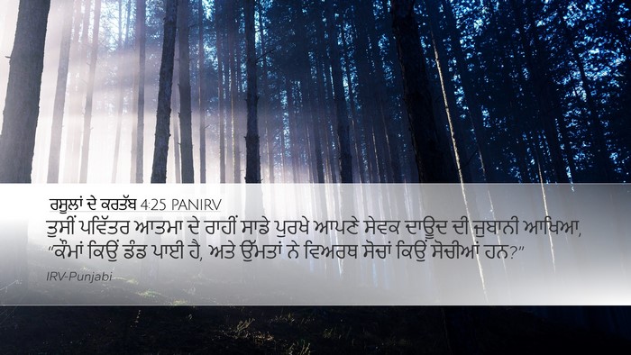 ਰਸੂਲਾਂ ਦੇ ਕਰਤੱਬ 4:25 PANIRV Bible Verse Image