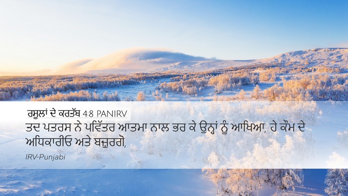 ਰਸੂਲਾਂ ਦੇ ਕਰਤੱਬ 4:8 PANIRV Bible Verse Image