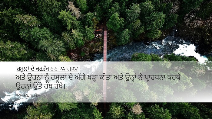 ਰਸੂਲਾਂ ਦੇ ਕਰਤੱਬ 6:6 PANIRV Bible Verse Image