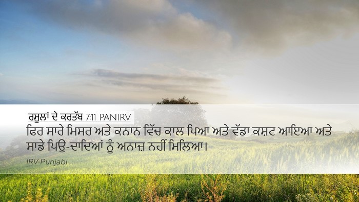 ਰਸੂਲਾਂ ਦੇ ਕਰਤੱਬ 7:11 PANIRV Bible Verse Image