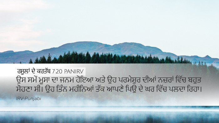 ਰਸੂਲਾਂ ਦੇ ਕਰਤੱਬ 7:20 PANIRV Bible Verse Image