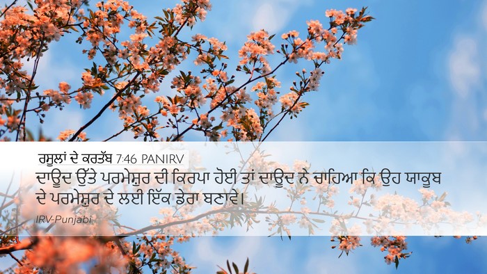 ਰਸੂਲਾਂ ਦੇ ਕਰਤੱਬ 7:46 PANIRV Bible Verse Image