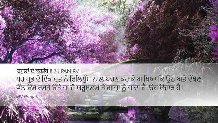 ਰਸੂਲਾਂ ਦੇ ਕਰਤੱਬ 8:26 PANIRV Bible Verse Image