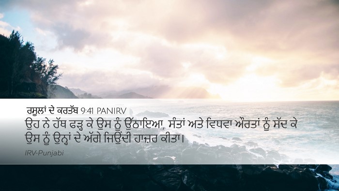 ਰਸੂਲਾਂ ਦੇ ਕਰਤੱਬ 9:41 PANIRV Bible Verse Image