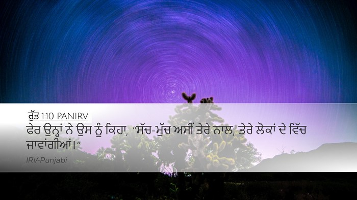 ਰੁੱਤ 1:10 PANIRV Bible Verse Image