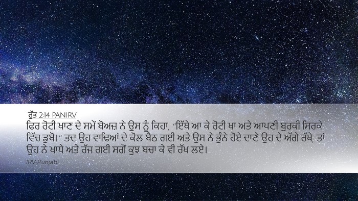 ਰੁੱਤ 2:14 PANIRV Bible Verse Image