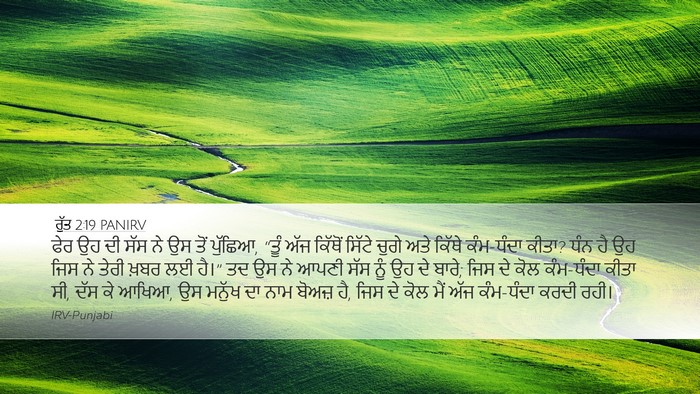 ਰੁੱਤ 2:19 PANIRV Desktop Wallpaper - ਫੇਰ ਉਹ ਦੀ ਸੱਸ ਨੇ ਉਸ - Desktop Bible Verse Wallpaper