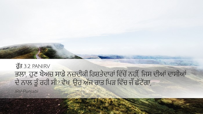 ਰੁੱਤ 3:2 PANIRV Desktop Wallpaper - ਭਲਾ, ਹੁਣ ਬੋਅਜ਼ ਸਾਡੇ - Desktop Bible Verse Wallpaper