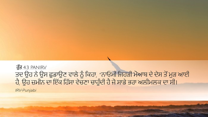 ਰੁੱਤ 4:3 PANIRV Bible Verse Image