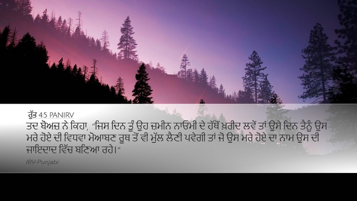 ਰੁੱਤ 4:5 PANIRV Desktop Wallpaper - ਤਦ ਬੋਅਜ਼ ਨੇ ਕਿਹਾ, - Desktop Bible Verse Wallpaper
