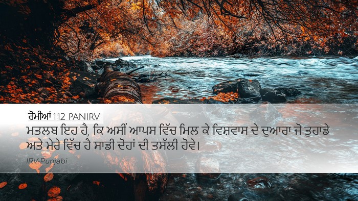 ਰੋਮੀਆਂ 1:12 PANIRV Bible Verse Image