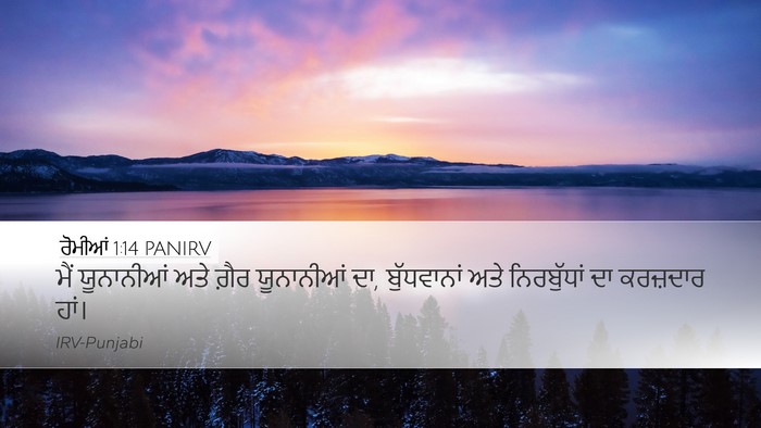 ਰੋਮੀਆਂ 1:14 PANIRV Bible Verse Image