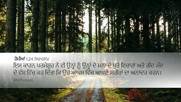 ਰੋਮੀਆਂ 1:24 PANIRV Bible Verse Image