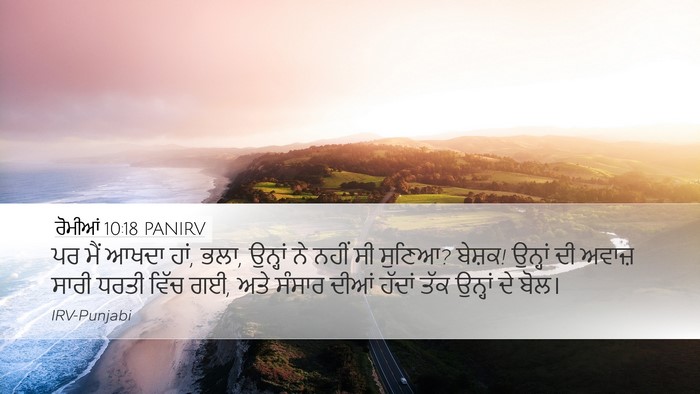 ਰੋਮੀਆਂ 10:18 PANIRV Bible Verse Image
