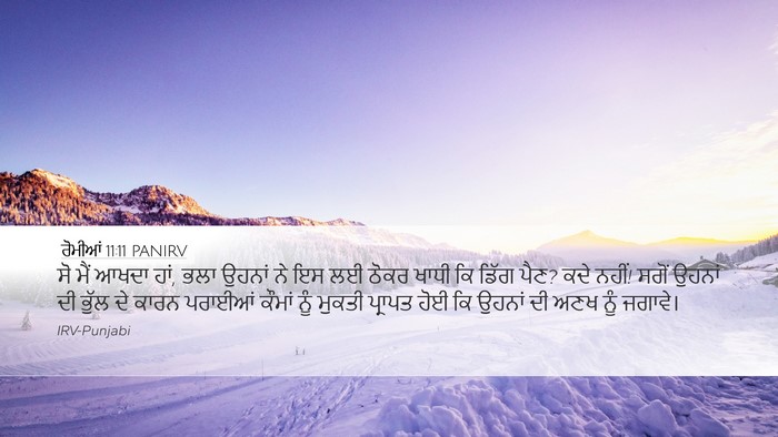 ਰੋਮੀਆਂ 11:11 PANIRV Bible Verse Image