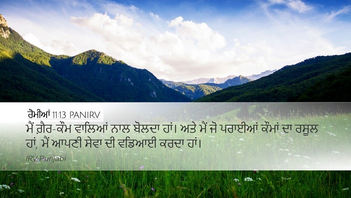 ਰੋਮੀਆਂ 11:13 PANIRV Bible Verse Image