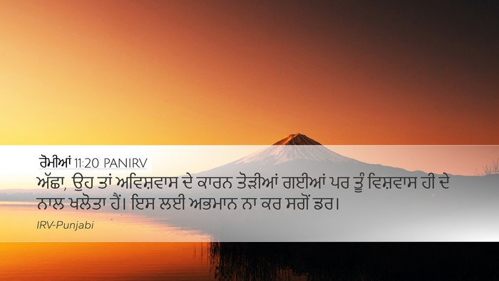 ਰੋਮੀਆਂ 11:20 PANIRV Bible Verse Image