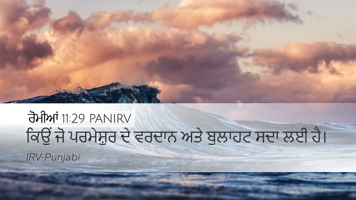 ਰੋਮੀਆਂ 11:29 PANIRV Bible Verse Image