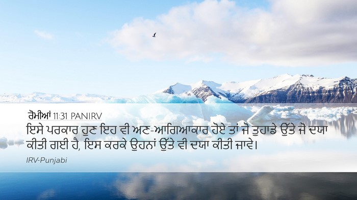 ਰੋਮੀਆਂ 11:31 PANIRV Bible Verse Image