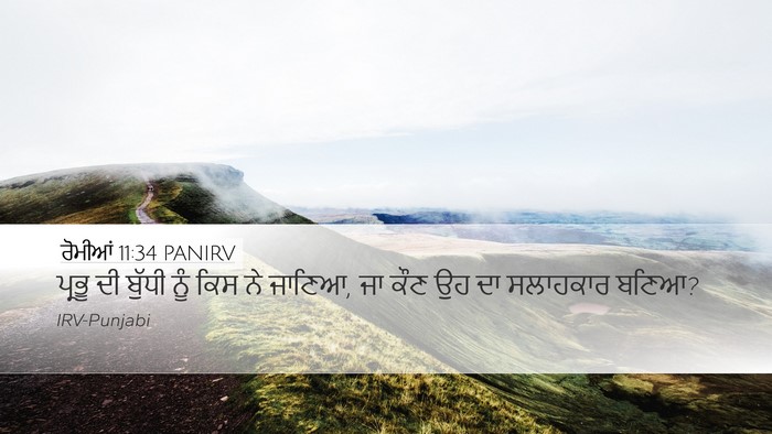 ਰੋਮੀਆਂ 11:34 PANIRV Bible Verse Image