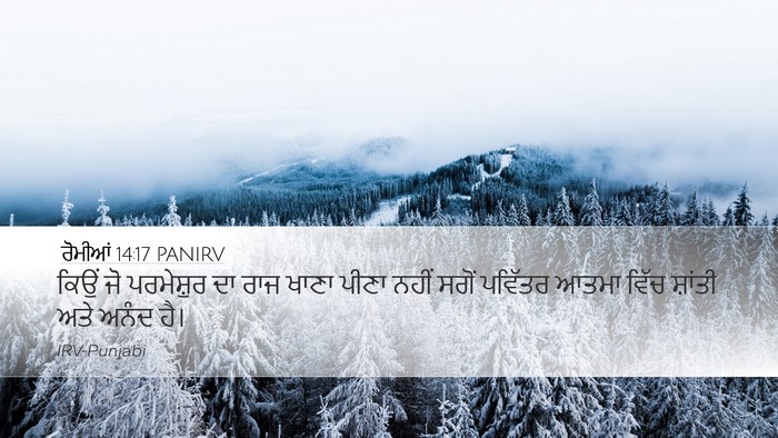 ਰੋਮੀਆਂ 14:17 PANIRV Bible Verse Image