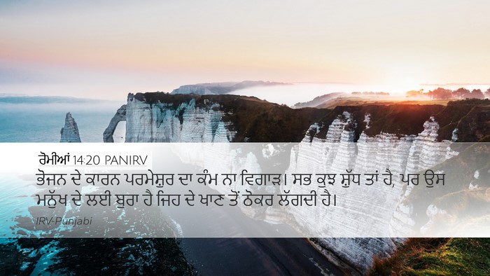 ਰੋਮੀਆਂ 14:20 PANIRV Bible Verse Image