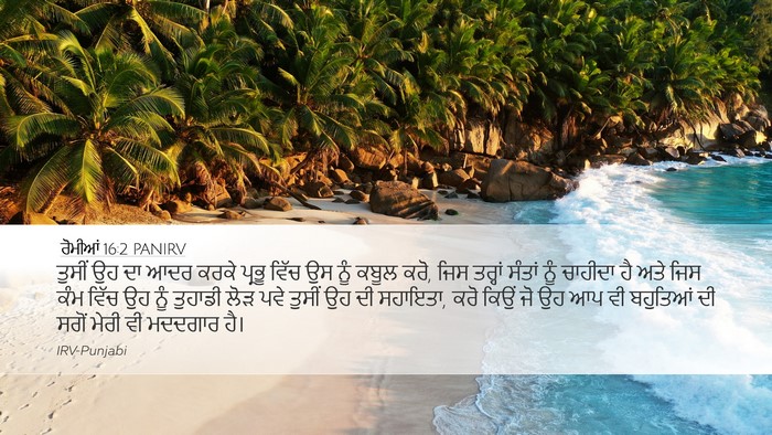 ਰੋਮੀਆਂ 16:2 PANIRV Bible Verse Image