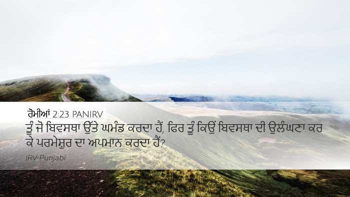 ਰੋਮੀਆਂ 2:23 PANIRV Bible Verse Image