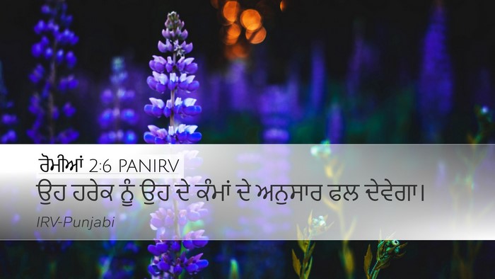 ਰੋਮੀਆਂ 2:6 PANIRV Bible Verse Image