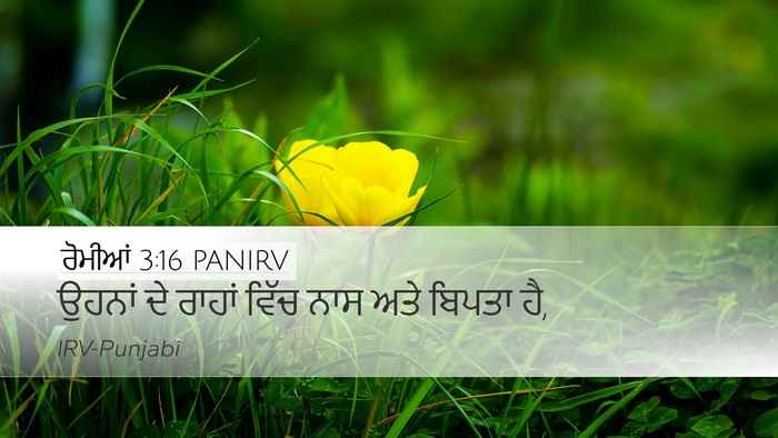 ਰੋਮੀਆਂ 3:16 PANIRV Desktop Wallpaper - ਉਹਨਾਂ ਦੇ ਰਾਹਾਂ - Desktop Bible Verse Wallpaper