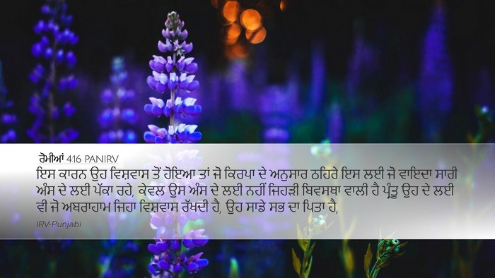ਰੋਮੀਆਂ 4:16 PANIRV Bible Verse Image