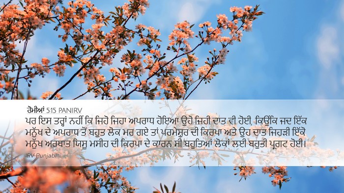 ਰੋਮੀਆਂ 5:15 PANIRV Bible Verse Image