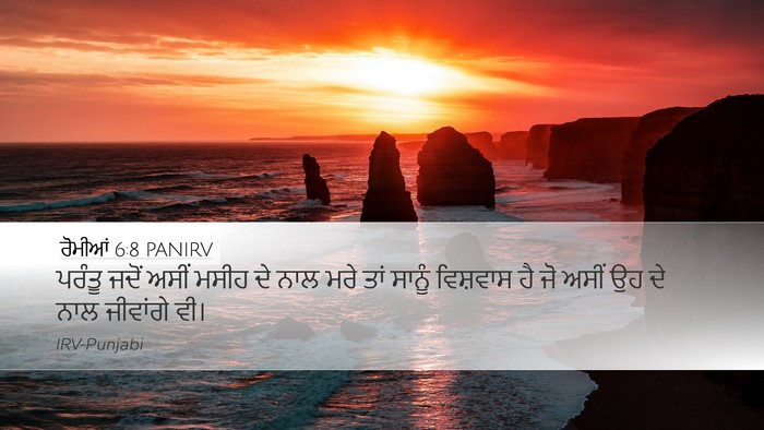 ਰੋਮੀਆਂ 6:8 PANIRV Bible Verse Image