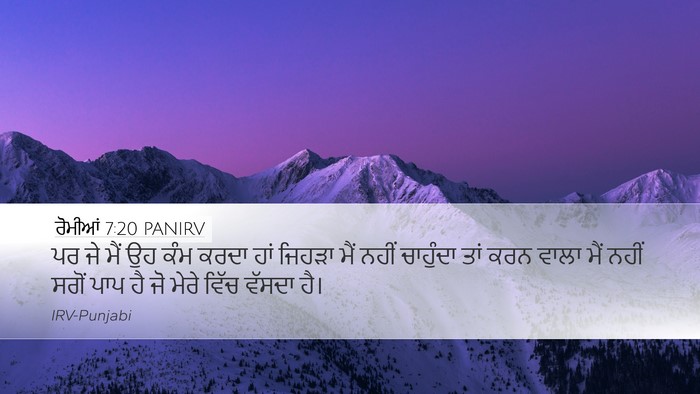 ਰੋਮੀਆਂ 7:20 PANIRV Bible Verse Image