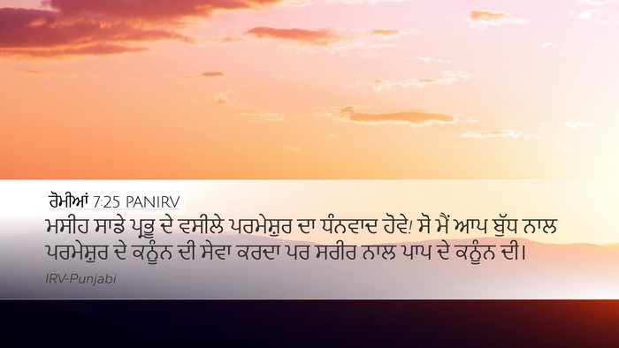 ਰੋਮੀਆਂ 7:25 PANIRV Bible Verse Image
