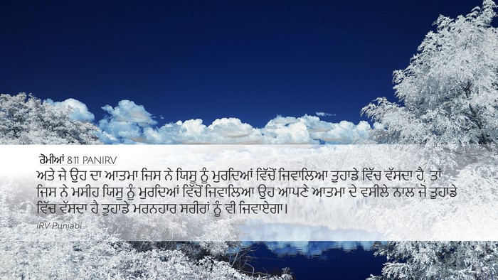 ਰੋਮੀਆਂ 8:11 PANIRV Bible Verse Image