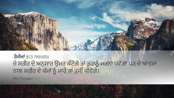 ਰੋਮੀਆਂ 8:13 PANIRV Bible Verse Image