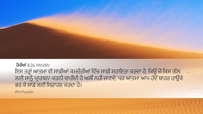 ਰੋਮੀਆਂ 8:26 PANIRV Bible Verse Image