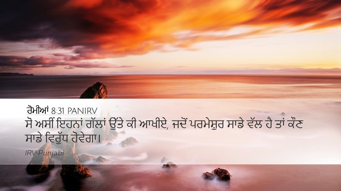 ਰੋਮੀਆਂ 8:31 PANIRV Bible Verse Image