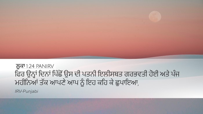 ਲੂਕਾ 1:24 PANIRV Bible Verse Image