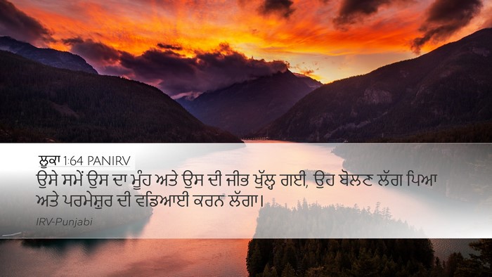 ਲੂਕਾ 1:64 PANIRV Bible Verse Image