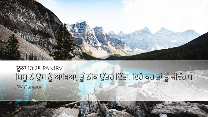 ਲੂਕਾ 10:28 PANIRV Bible Verse Image