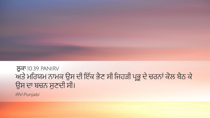 ਲੂਕਾ 10:39 PANIRV Bible Verse Image