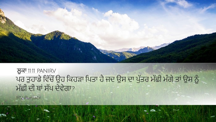 ਲੂਕਾ 11:11 PANIRV Bible Verse Image