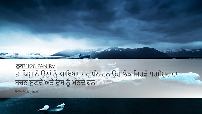 ਲੂਕਾ 11:28 PANIRV Bible Verse Image