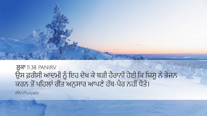 ਲੂਕਾ 11:38 PANIRV Bible Verse Image