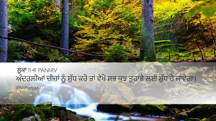 ਲੂਕਾ 11:41 PANIRV Bible Verse Image